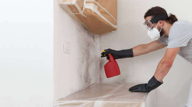 Professional Bathroom Mold Removal technician working in Neelyton, PA